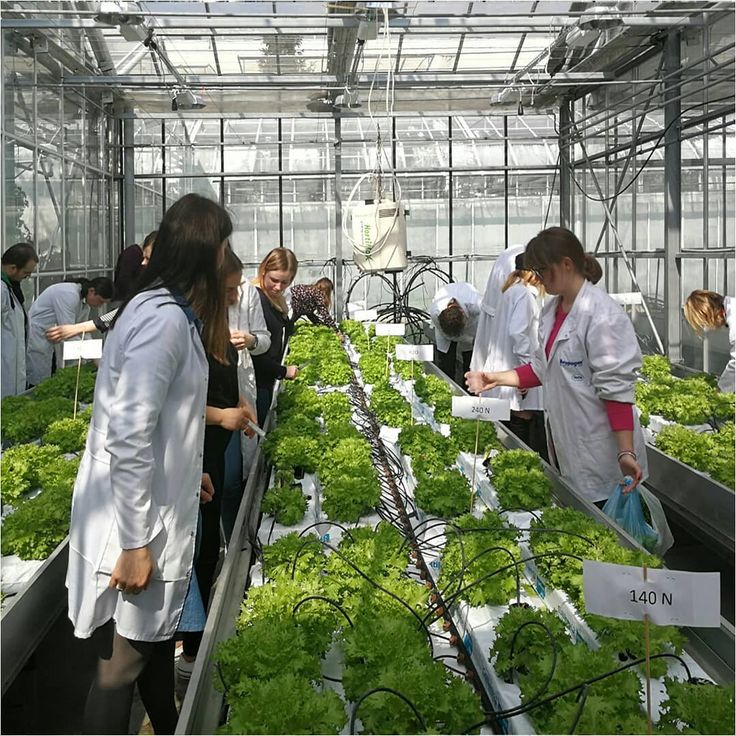 Environmental Sciences